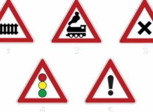 Фактинфо: Иностранец, не выполнивший обязанности, лишится визы РА