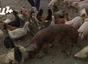 “We don’t work as much as we pay tax and duty”