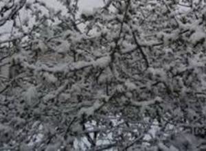 Սպասվելիք ցրտահարության համար բացվել է «թեժ գիծ»