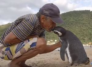 Необычная дружба