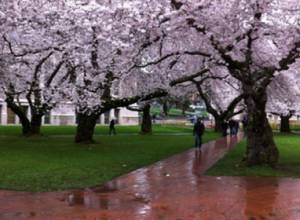 Прогноз погоды в Ереване на предстоящие 5 дней