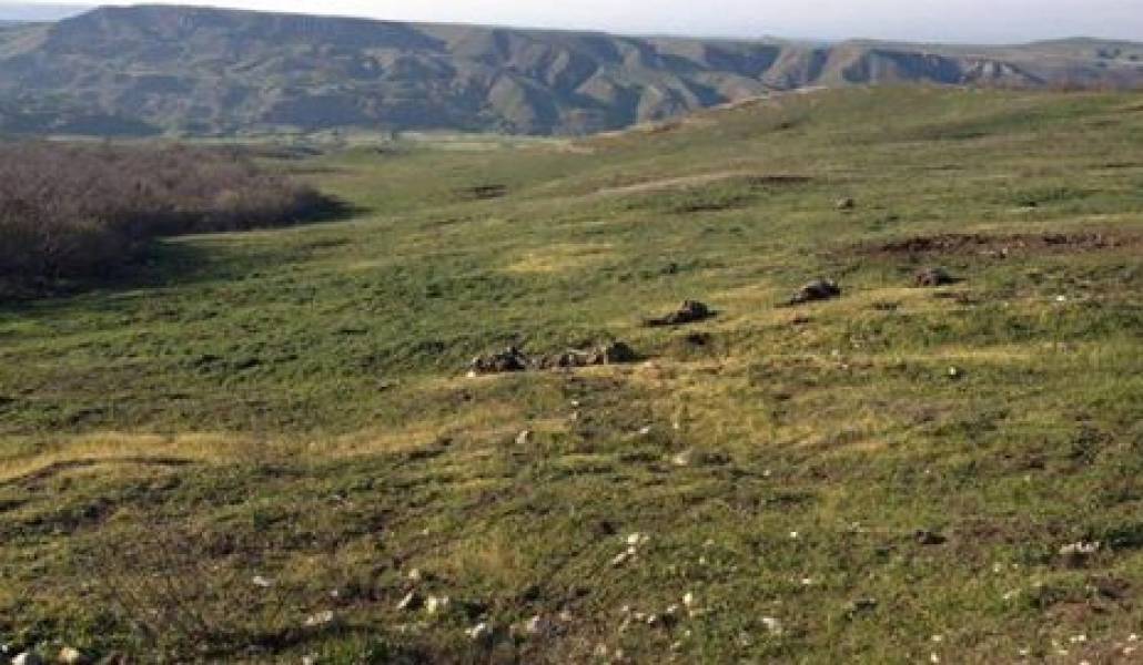 8371_1017118418323766_1487474944590991000_n