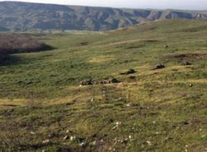 Artsrun Hovhannisyan: 'Elite’ figures of Azerbaijani army stand behind Talish atrocities