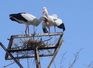 Температура воздуха резко повысится и понизится