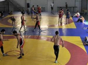 Ազատ ոճի ըմբիշները նույնպես մեկնեցին Մոնղոլիա