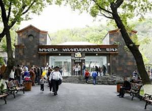Այսօրվանից կենդանաբանական այգին այցելուների համար բաց է