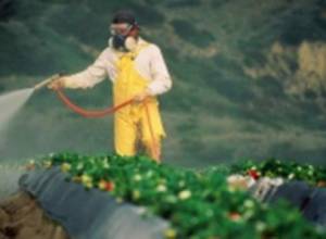 Ինչպես խուսափել թունավորումից. նախարարությունը զգուշացնում է