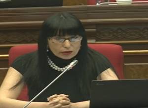 Naira Zohrabyan: Have volunteers gone to Karabakh or sat on the sofa in their homes?