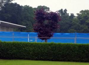 Անգլիայի հավաքականը անհասանելի կլինի լրագրողների համար