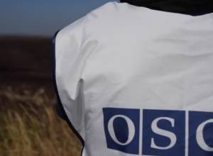 ОБСЕ проведет мониторинг около Куропаткино