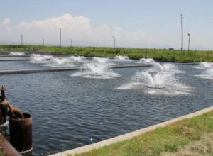 Project of Kaghtsrashen and Geghardalich rivers also at the expense of nature