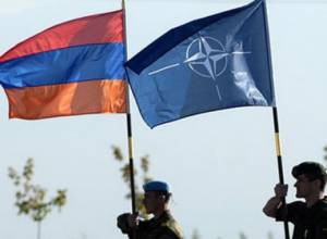 Use of nuclear weapon by the RA discussed at NATO PA
