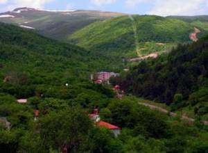 Что-то происходит не так - укрупнение общин еще можно спасти