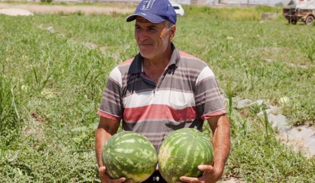 98d247fa-023c-45a5-bbf3-d412101af283-1