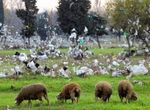 Франция отказывается от использования пластиковых пакетов