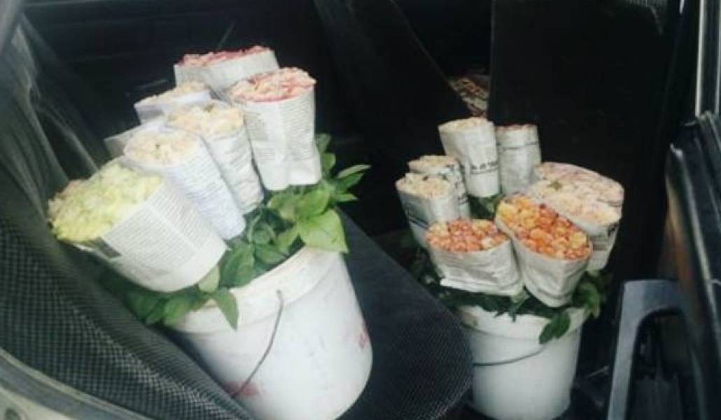 13754206_661533757335622_8622335473681225680_n