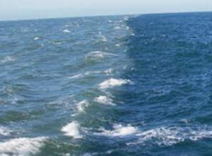 RA citizen drowns in Kobuleti