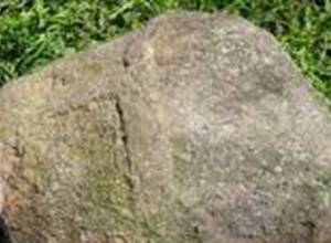 Камень упал на голову ребенку