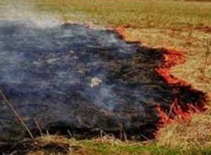 Пожар вблизи Спортивно-концертного комплекса и улицы Ленинградян