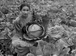 Dilijan Arts Observatory, первый проект Dilijan Art Initiative, открывается в Армении