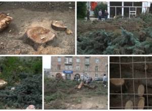 Վանդալիզմ Վանաձորի սրտում` Ազատամարտիկների պուրակում