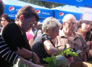 Сельскохозяйственные ярмарки 11 сентября действовать не будут