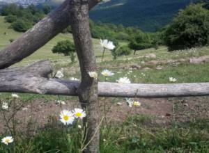 Прогноз погоды на ближайшие 5 дней