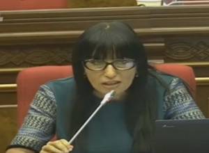 Ситуация в Агавнадзоре продолжает оставаться напряженной: тревожный звонок Н. Зограбян