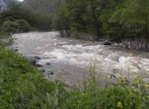 Citizen falls into Debed river