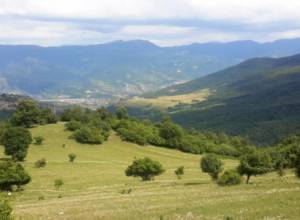 Еще 5 дней продлится теплая и сухая погода