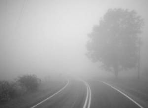 Fog on the roads