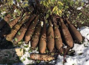 MoD: Adversary left posts in panic, leaving ammunition