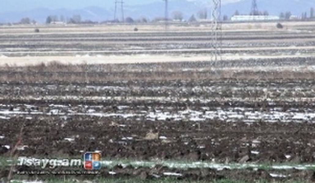 1478520814_ashnanacan