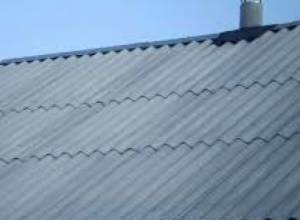 Двое граждан не могут спуститься с крыши