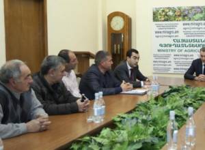 Խաղողագործների պարտքը գործարարները դեռեւս ամբողջությամբ չեն մարել