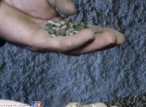 Վառելիքի նոր տեսակ Շիրակի մարզում