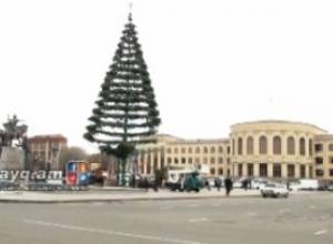 Գյումրու տոնածառի ճյուղերը բերվել են Լոռվա անտառներից