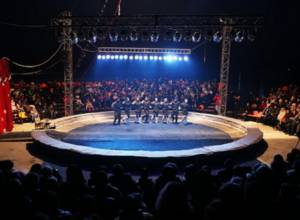 В Ереване находится московский цирк Шапито