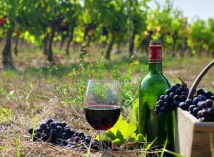 Avag Harutyunyan: “EEU is a wrong market for Armenian wine”