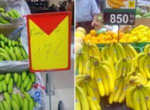 КГД отвечает Н. Пашиняну: сколько человек импортирует банан