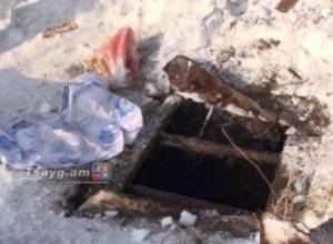 Ինչո՞ւ էր նորածինը տոպրակի մեջ