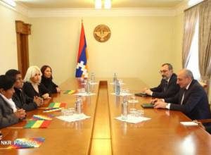 Artsakh President receives delegation from Bolivia