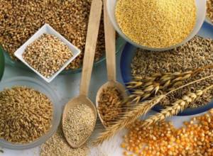 Ծովագյուղի հնդկաձավարը շուտով կհայտնվի տեղական շուկայում