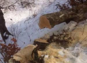 Բնապահպանական խախտումների դիմաց ՀՀ պետական բյուջե է մուտքագրվել 1.7 մլն.դրամ