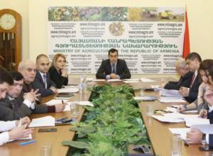 Եթերային յուղից՝ ցլիկների բտում. ներդրումային ծրագրեր Արմավիրում