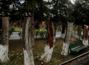 Դավթաշենի դեպքն ուղղակի վանդալիզմ է. Տարոն Մարգարյանը քրեական պատասխանատվության կողմնակից է