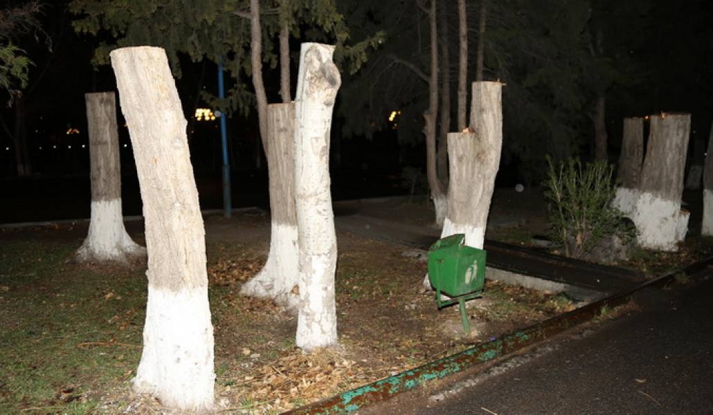 001-17887484_1947297032166582_1317570887_o