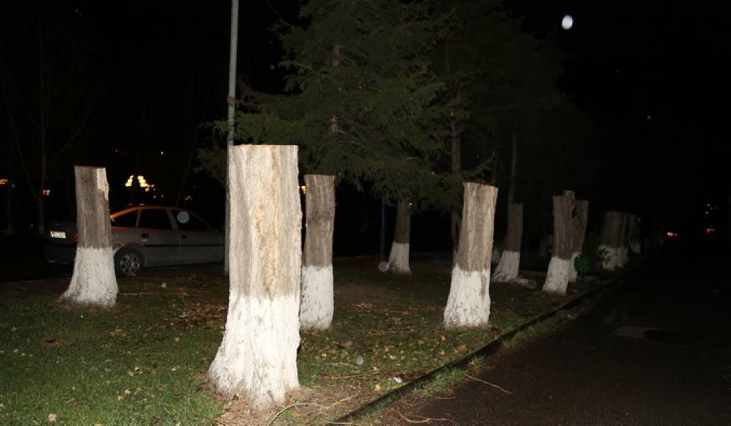 002-17858994_1947296812166604_1130528144_o