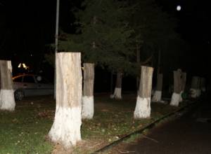 Серж Саргсян назвал варварством сруб деревьев