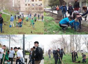 В столице сажают тысячи деревьев и розовых кустов